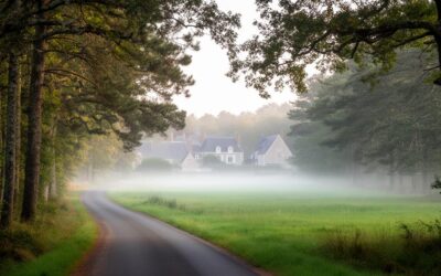 Exploration photographique : les plus beaux sites des communes autour de Nancay